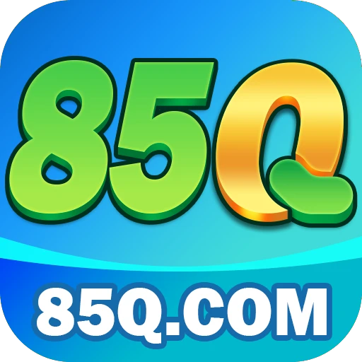 85Q.COM